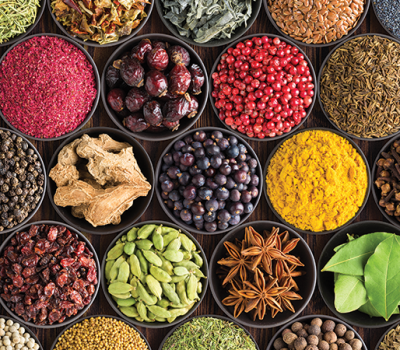 définition simple des polyphénols et leurs bienfaits